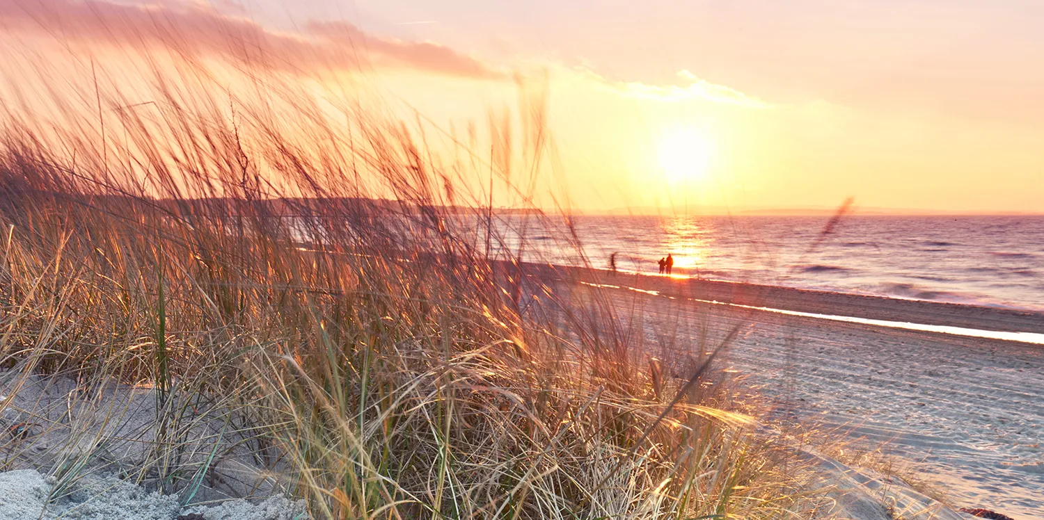 #00008 DuÌnen am Meer.jpg